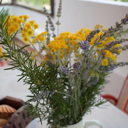 Apartman Stina Čunski